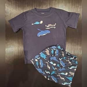 Gymboree Boys Pajamas Size 2T